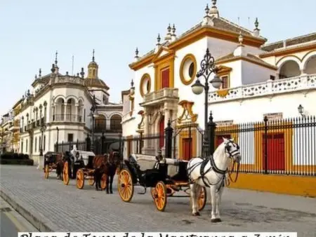 Wohnung mit Terrasse, Nähe Kathedrale von Sevilla - Photo 19