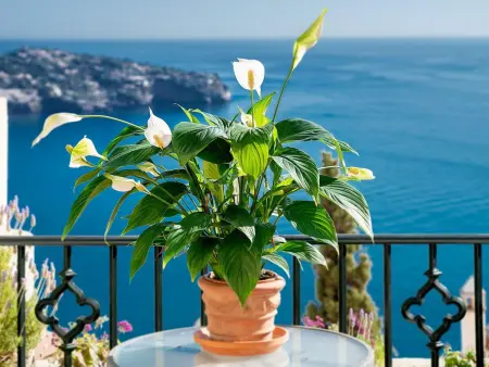 in Almuñécar mit Terrasse und Meerblick, Maison 6 personnes à Almuñécar - Photo 8