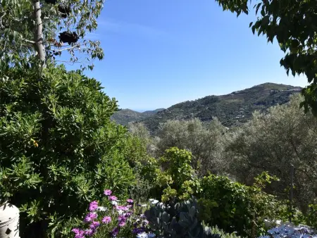 Finca El Corinto - Ein verwunschener Ort, Maison 4 personnes à Competa - Photo 1