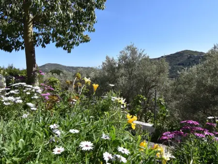 Finca El Corinto - Ein verwunschener Ort, Maison 4 personnes à Competa - Photo 2