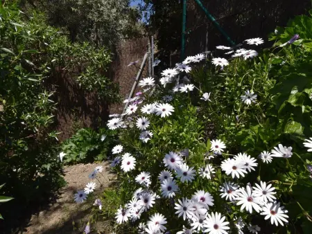 Finca El Corinto - Ein verwunschener Ort, Maison 4 personnes à Competa - Photo 30
