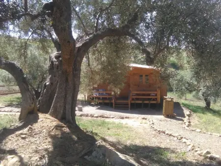 Gemütliches Ferienhaus in Almogía mit Garten, Maison 4 personnes à La Axarquía Almogía - Photo 12