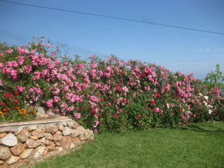 casa leo, Maison 6 personnes à Frigiliana - Photo 20