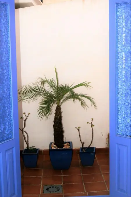 Typisches Haus im Zentrum des Barrio Morisco, Maison 5 personnes à Frigiliana - Photo 14