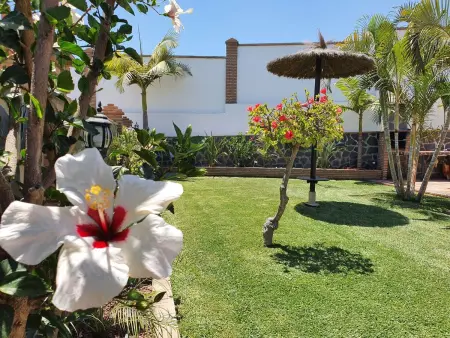 Angelyn  mit Jacuzzi, Maison 6 personnes à Frigiliana - Photo 55