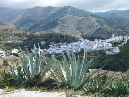 Finca 'Casa Siete Arcos', Maison 4 personnes à La Axarquía   Sedella - Photo 21