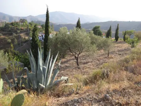 Finca 'Casa Siete Arcos', Maison 4 personnes à La Axarquía   Sedella - Photo 23