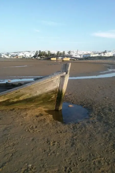 Helle und geräumige Wohnung in Conil, Appartement 3 personnes à Conil de la Frontera - Photo 36