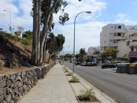 ST1608 EL CARDON, Appartement 4 personnes à Costa Adeje - Photo 19