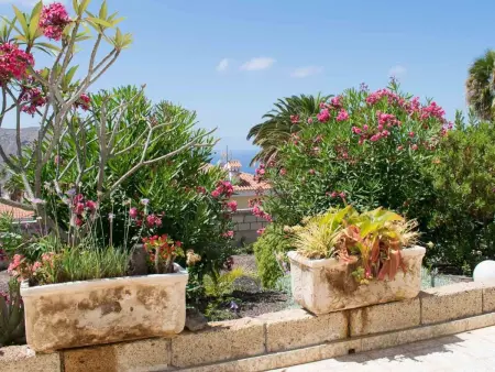 Wohnung mit botanischem Garten und Meerblick, Appartement 2 personnes à Chayofa - Photo 17