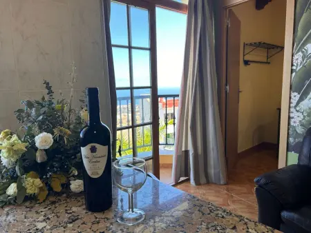 Apartment mit Balkon und Meerblick, Appartement 4 personnes à Icod de los Vinos - Photo 9