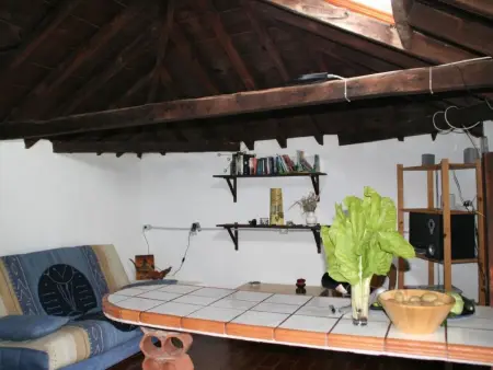 FW Cueva del Viento, Maison 3 personnes à Icod de los Vinos - Photo 2