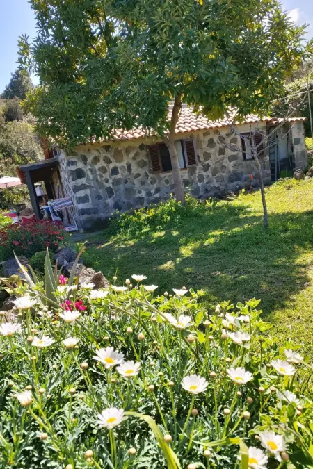 FW Cueva del Viento, Maison 3 personnes à Icod de los Vinos - Photo 30