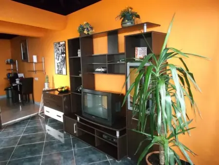 Nr. 7, Appartement 2 personnes à Icod de los Vinos - Photo 2