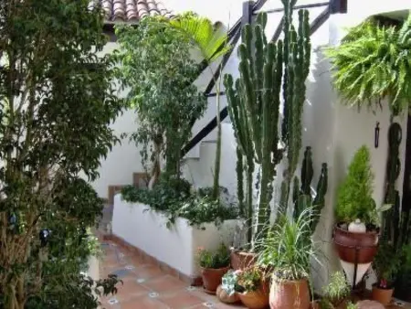 Nr. 7, Appartement 2 personnes à Icod de los Vinos - Photo 10