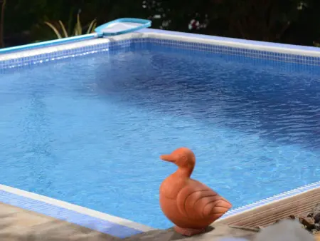 mit Schwimmbad nur für Erwachsene, Maison 2 personnes à La Esperanza - Photo 14