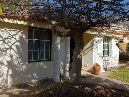 Bungalow direkt am Meer, Maison 4 personnes à Los Gigantes - Photo 1
