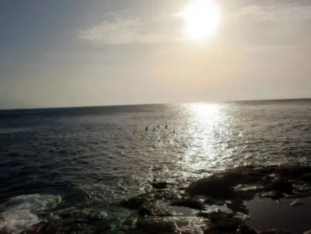 Wohnung  Faro de Sardina  mit Blick aufs Wasser, Appartement 3 personnes à Gran Canaria Sardina - Photo 20