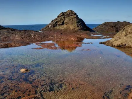 Wohnung  Faro de Sardina  mit Blick aufs Wasser, Appartement 3 personnes à Gran Canaria Sardina - Photo 31