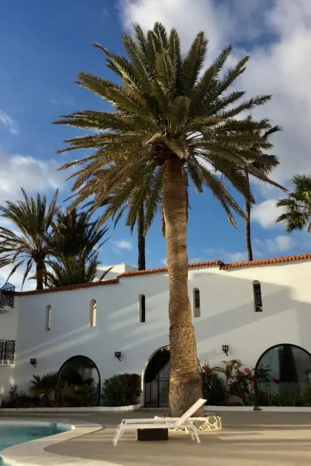 Wohnung mit Blick auf das Wasser, Appartement 2 personnes à Maspalomas - Photo 30