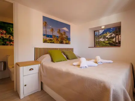 Casa del Puente, Appartement 2 personnes à Agaete - Photo 8