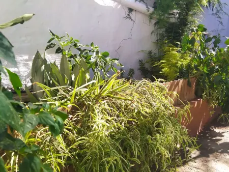 Edara Home - Haus mit privatem Garten, Maison 6 personnes à Galdar - Photo 6