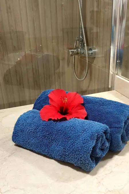 Wohnung  Tamarindo spektakuläre Schwimmbäder . - Photo 8