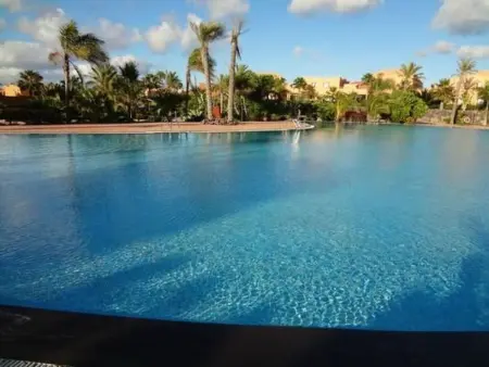 Wohnung  Tamarindo spektakuläre Schwimmbäder . - Photo 15