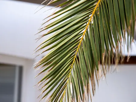 Modernes und helles Ferienhaus direkt am Meer, mit zwei großen Terrassen, Garte - Photo 37