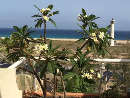 Luxuriöse Ferienwohnung mit Sonnenterrasse, Appartement 5 personnes à Morro Jable - Photo 12