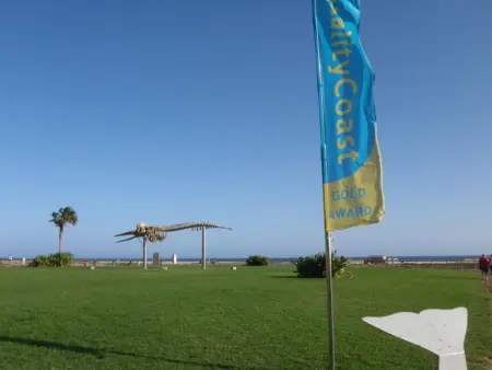 Strand Tarabilla de Jandia, Appartement 4 personnes à Morro Jable - Photo 31