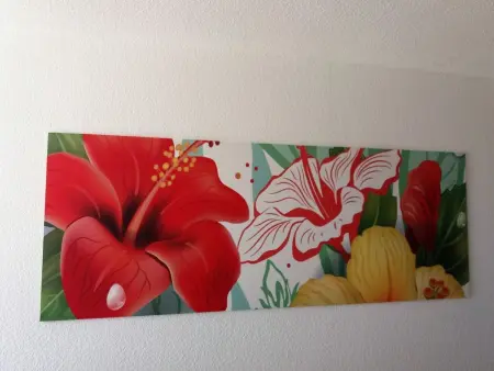 Wohnungen Palm Garden, Appartement 4 personnes à Morro Jable - Photo 27