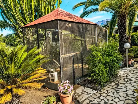 La Gomera, Maison 3 personnes à El Paso - Photo 18