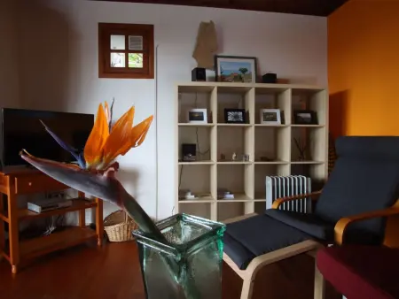 Casa Tanausu - Typisch kanarische Ferienunterkunft - Photo 8
