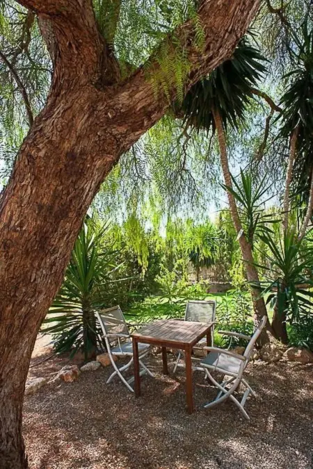 Finca Can Gall in Sant Joan De Labritja mit Pool - Photo 13
