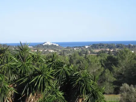 Finca Can Gall in Sant Joan De Labritja mit Pool - Photo 14