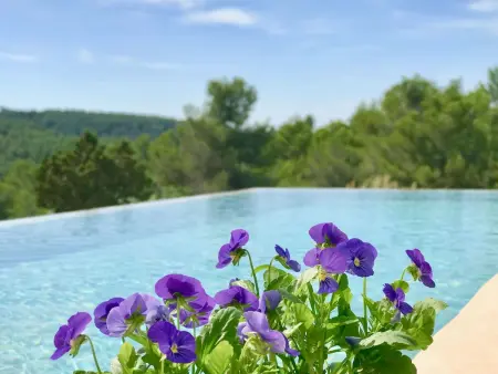 Villa Sa Paissa, Maison 12 personnes à San José Ibiza - Photo 6