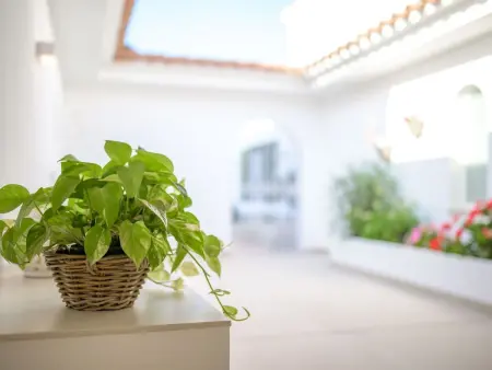 Villa Ponti A5 - direkt am Meer, Maison 8 personnes à Es Migjorn Gran - Photo 26