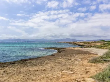 Villa mit Pool in Cala Estancia, nahe Palma, Maison 6 personnes à Palma - Photo 30