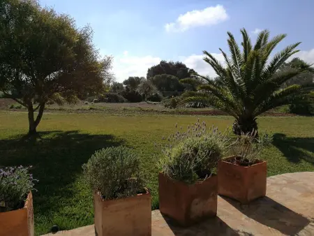 Finca Alegria, Maison 6 personnes à Cala Pi - Photo 37
