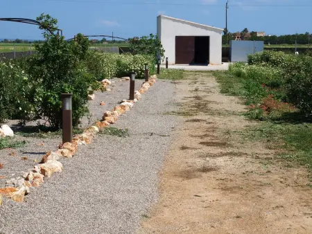 Finca Alegria, Maison 6 personnes à Cala Pi - Photo 39