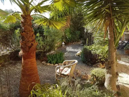 Wunderschöne Wohnung in Campos mit Terrasse, Appartement 2 personnes à Cala Pi - Photo 13