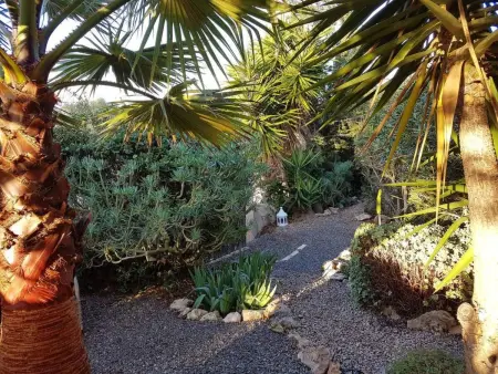 Wunderschöne Wohnung in Campos mit Terrasse, Appartement 2 personnes à Cala Pi - Photo 15