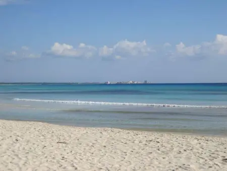Wunderschöne Wohnung in Campos mit Terrasse, Appartement 2 personnes à Cala Pi - Photo 18