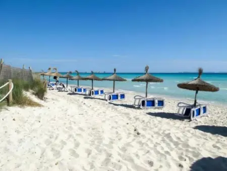 Wunderschöne Wohnung in Campos mit Terrasse, Appartement 2 personnes à Cala Pi - Photo 19