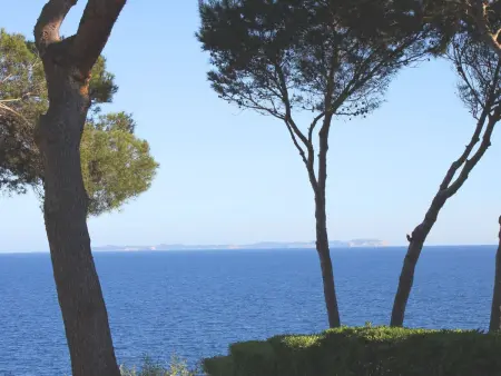 Haus Aina, Maison 6 personnes à Cala Pi - Photo 10