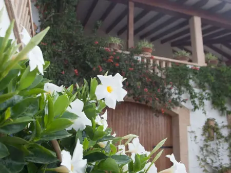 Charmante Familienvilla am Meer von Son Veri, Maison 9 personnes à Llucmajor - Photo 7