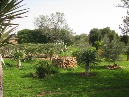 Ferienvilla mit Garten, Grill und Terrasse, Maison 9 personnes à Llucmajor - Photo 4
