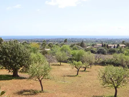 Finca Can Marines, Maison 8 personnes à Santanyí - Photo 34