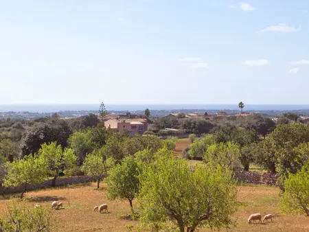 Finca Can Marines, Maison 8 personnes à Santanyí - Photo 39
